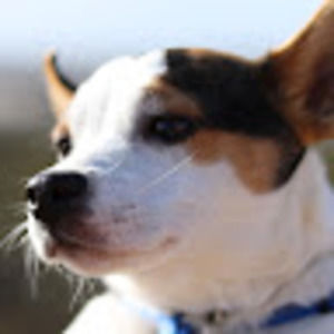 Meet your Posher, Mia